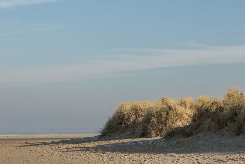 De duinen van Goedereede par Irene Lommers