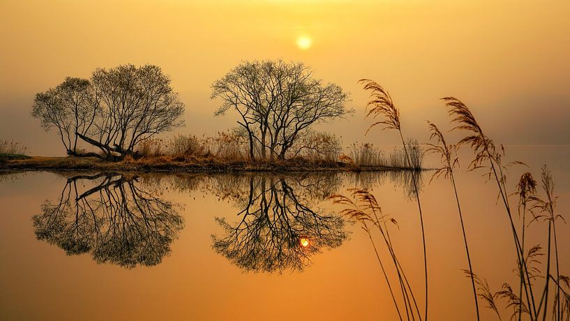 Garden of water by Tiger Seo