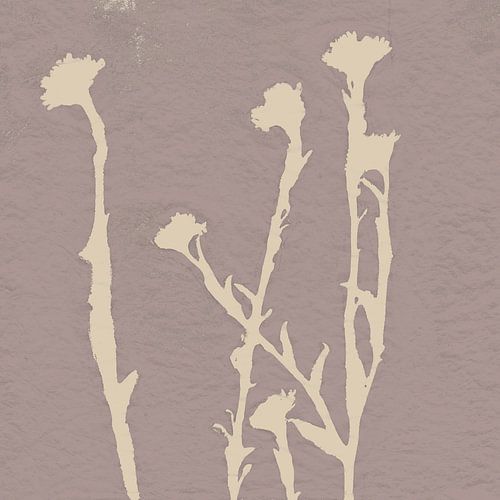 Bloemen in wit op stoffig roze. Minimalistische botanische kunst