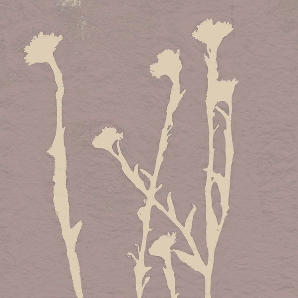 Flowers in white on dusty pink. Minimalist botanical art by Dina Dankers