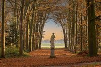 landgoed Freaylemaborg, slochteren, borg, bos, trouwlocatie, beeldentuin