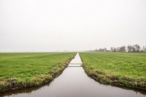 Hollands weiland met slootje in de mist, fotoprint