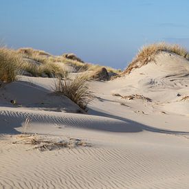 Linien im Sand von Louise Poortvliet