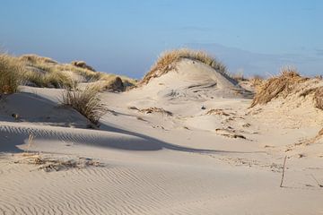 Lignes dans le sable