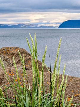 Isafjördur, IJsland, motief 5 van zam art