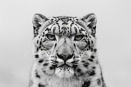 Schneeleopard von Poster Art Shop