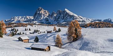 Automne sur l'Alpe de Siusi Tyrol du Sud sur Achim Thomae Photography
