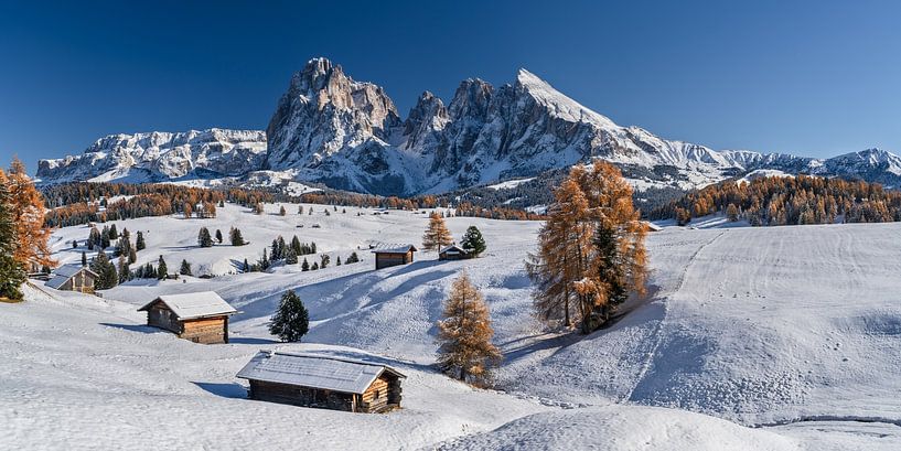 Herbst auf der Seiser Alm Südtirol von Achim Thomae Photography