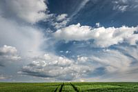 Champ de nuages