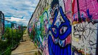 Berlijnse Muur | Juni 2016  van Shui Fan thumbnail