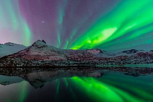 Noorderlicht of Aurora Borealis over een meer met besneeuwde bergen