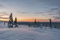 zonsopkomst in lapland Finland van Robin van Maanen thumbnail