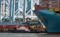 Tug port quay and container ship by scheepskijkerhavenfotografie thumbnail
