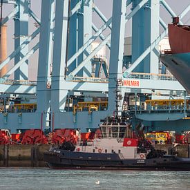 Schlepperhafenkai und Containerschiff von scheepskijkerhavenfotografie