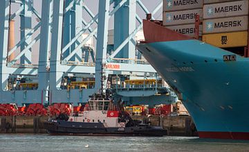 Tug port quay and container ship by scheepskijkerhavenfotografie