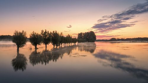 Zonsopkomst in het natuur- en waterbergingsgebied Noordma in Zuidlaren