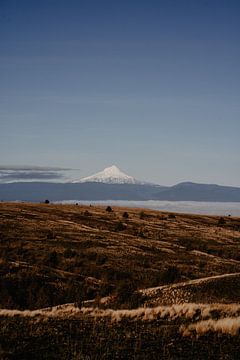 Mount Hood, Oregon van Yara Dragt