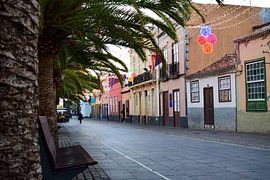 Santa Cruz de Tenerife (Tenerife), Spain by Jarne Buttiens