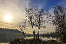 Herbstmorgen kurz nach Sonnenaufgang im Naturschutzgebiet Schwackenreuter Seen bei Mühlingen im Landkreis Konstanz von BlattArt - Christine Horn