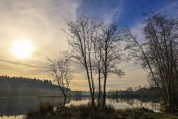 Matin d'automne peu après le lever du soleil dans la réserve naturelle des lacs de Schwackenreut près de Mühlingen dans le district de Constance sur BlattArt - Christine Horn