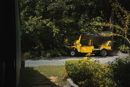 Un tuktuk jaune dans une végétation verdoyante