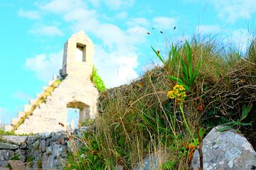 Schotland, ruine van kerkje van Marian Klerx