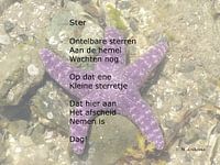 Ster