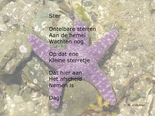 Ster