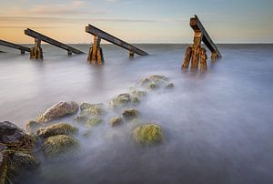 De beschermers van Arjen Noord