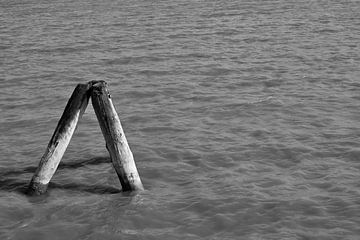 Kalm in het water