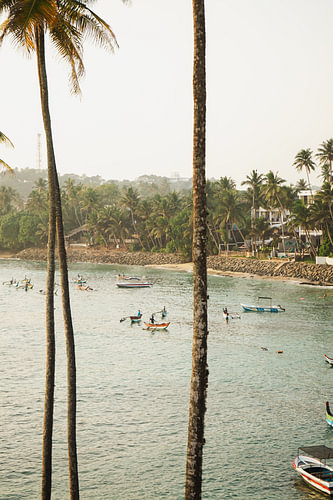 Sri Lanka von Fee van Lavieren