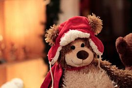 Teddy in Action by ines meyer