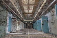 Korridor mit offenen Zellentüren in einem verlassenen Gefängnis von John Noppen Miniaturansicht