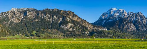 Neuschwanstein,