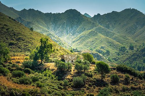 Living in the mountains