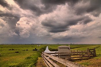 Polderlandschaft Eemnes
