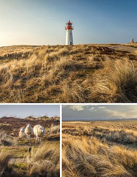 Rêves de mer : List-West sur l'île de Sylt sur Christian Müringer