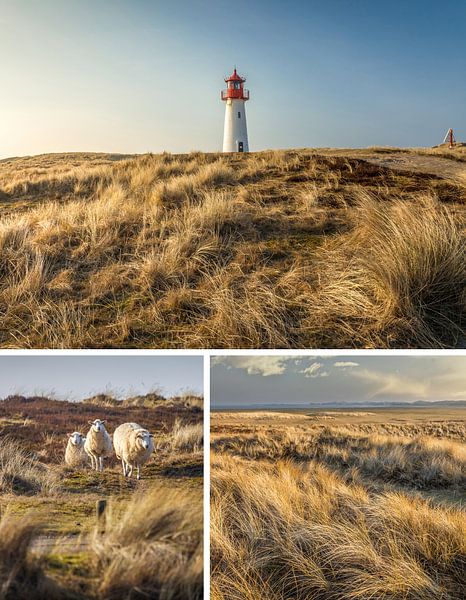 Träume vom Meer: List-West auf Sylt von Christian Müringer
