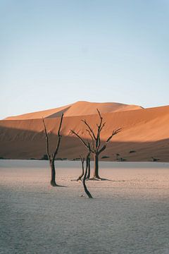 Dode bomen in de Deadvlei (Sossusvlei) in Namibië van Nikkie den Dekker | travel & lifestyle photography