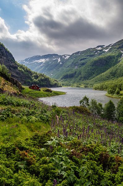 Rode Noorse huis langs de Aurlandselvi in Noorwegen van Ricardo Bouman