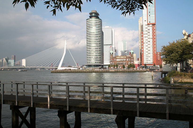Rotterdam van Tineke Mols