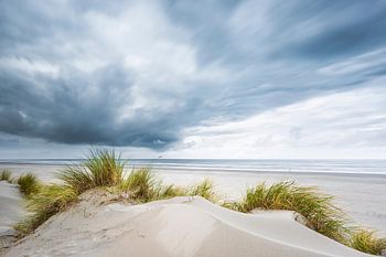 Dunes d'automne sur Ameland