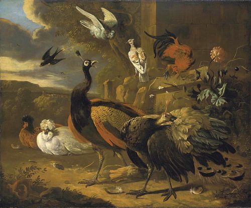 Pauwen, een haan, duiven, een zwaluw en andere vogels in een landschap, Melchior d'Hondecoeter