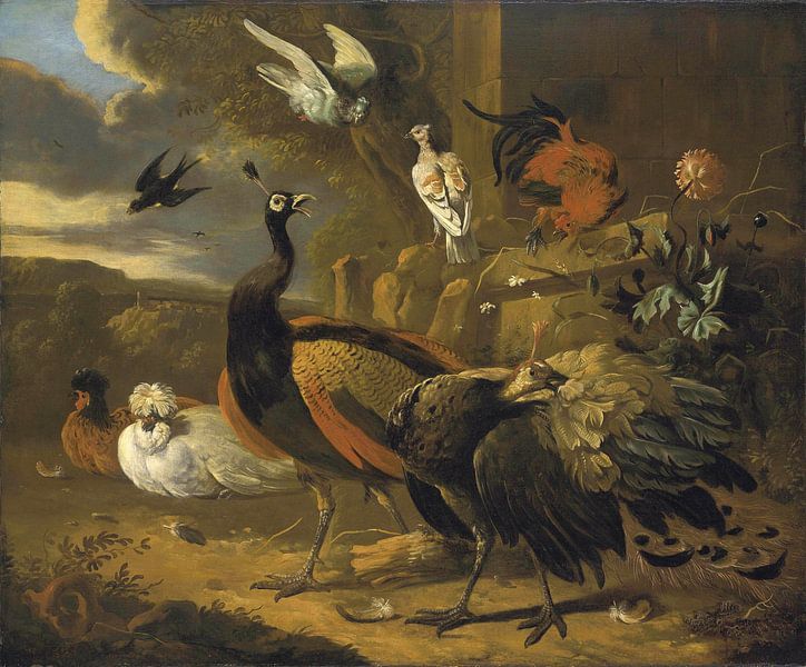 Pfauen, ein Hahn, Tauben, eine Schwalbe und andere Vögel in einer Landschaft, Melchior d'Hondecoeter von Meisterhafte Meister