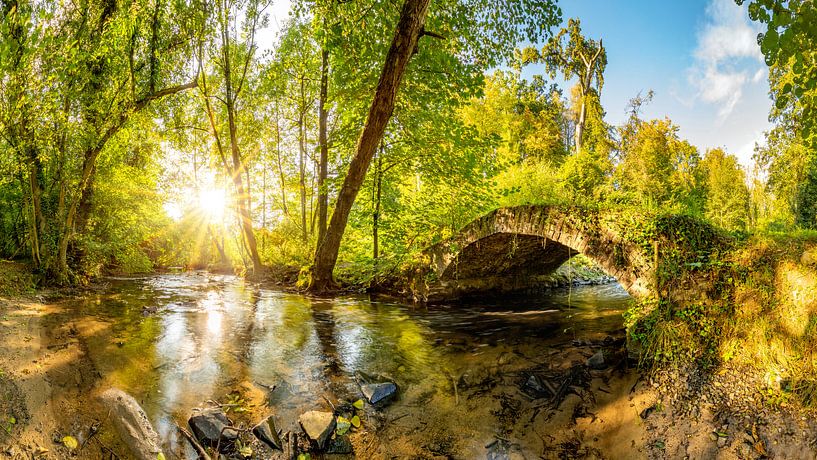 Old bridge over a creek by Günter Albers