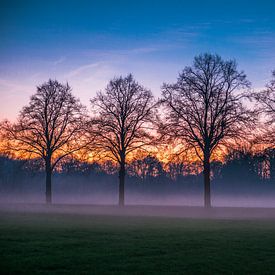 Discover the magic of nature with our exclusive photo print of an enchanting sunset! by Eriks Photoshop