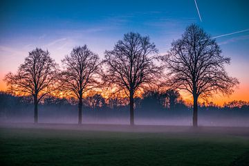Sunset 4 trees by Eriks Photoshop by Erik Heuver