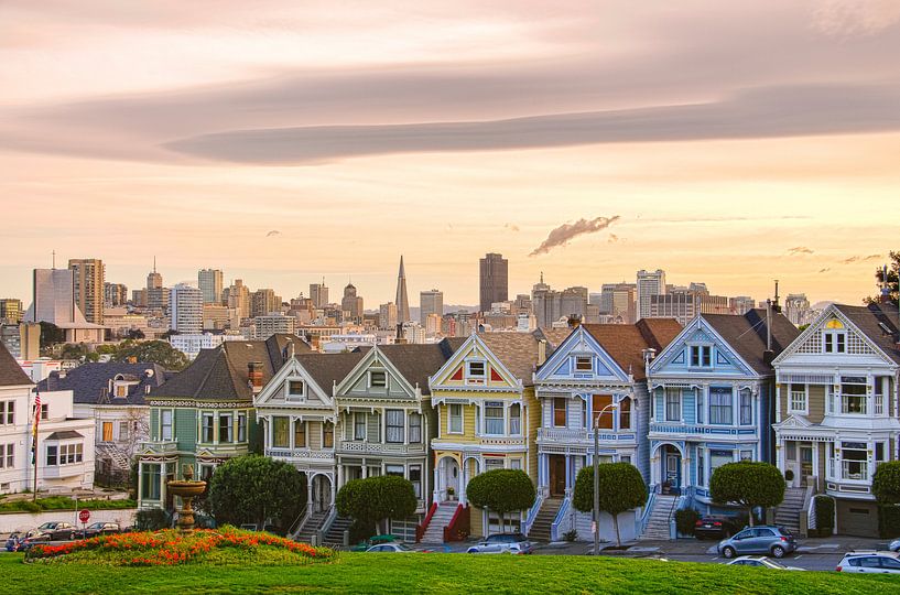 Painted Ladies von Denis Feiner