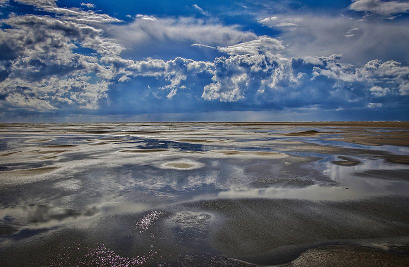 Vliehors oneindig van Marjet van Veelen