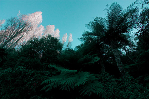 New Zealand